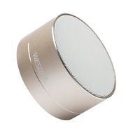 WESDAR Bluetooth Speakers with Lights For iPhone Android Bluetooth 4.0 - 5V 500mah Gray - Weight in 5.6oz, 114S-Gr N25
