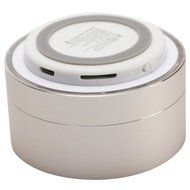 WESDAR Bluetooth Speakers with Lights For iPhone Android Bluetooth 4.0 - 5V 500mah Gray - Weight in 5.6oz, 114S-Gr N27