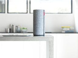 LT-310-NA-1001 Libra WiFi Speaker 2.0, Salty Grey N3