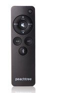 Peachtree Audio DEEPBLUE2 Bluetooth Powered Speaker N5