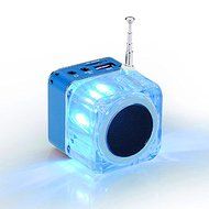 ACE Seller Mini Digital Portable Music MP3/4 Player Micro SD/TF USB Disk Speaker FM Radio N5