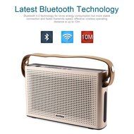 PINSHOW Ultra-portable Bluetooth 4.0 Speaker with Microphone and Aux Function, Hifi Speaker with 10W Enhanced... N2