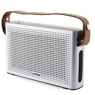 PINSHOW Ultra-portable Bluetooth 4.0 Speaker with Microphone and Aux Function, Hifi Speaker with 10W Enhanced... N9