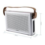PINSHOW Ultra-portable Bluetooth 4.0 Speaker with Microphone and Aux Function, Hifi Speaker with 10W Enhanced... N15