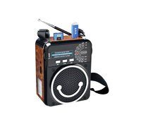 Supersonic SC-1391 Portable PA System w/3 Band/Flashlight/USB/SD In/Headset Mic - WOOD