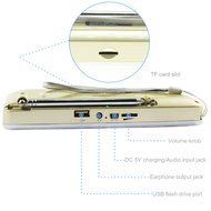 LEFON Multifunctional Bluetooth Dual Channel Digital AM / FM Radio Media Speaker MP3 Music Player Support TF Card... N3