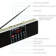 LEFON Multifunctional Bluetooth Dual Channel Digital AM / FM Radio Media Speaker MP3 Music Player Support TF Card... N45
