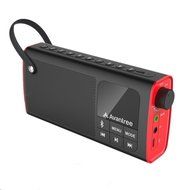 Portable Speaker 3-in-1 Bluetooth FM Radio SD Card Player Outdoor Indoor One Click Entry Replaceable Battery-Ship...