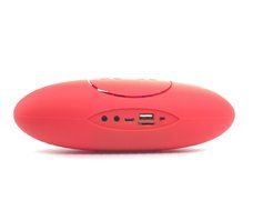 btSpeaker, Portable Wireless Bluetooth Speaker with FM Radio (Red) N2