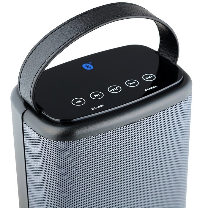 Denali Audio Wireless Bluetooth Large Pairing Speakers with Handle - Black N11