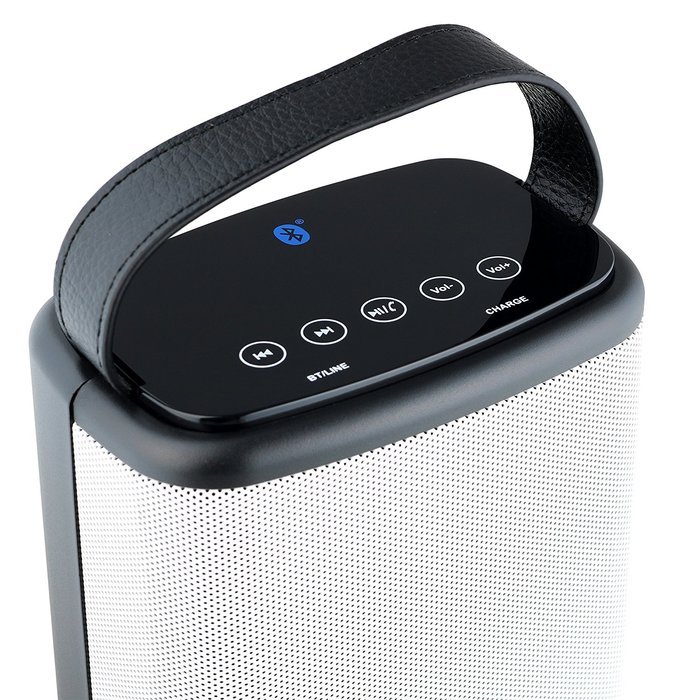 Denali Audio Wireless Bluetooth Large Pairing Speakers with Handle - Black N14