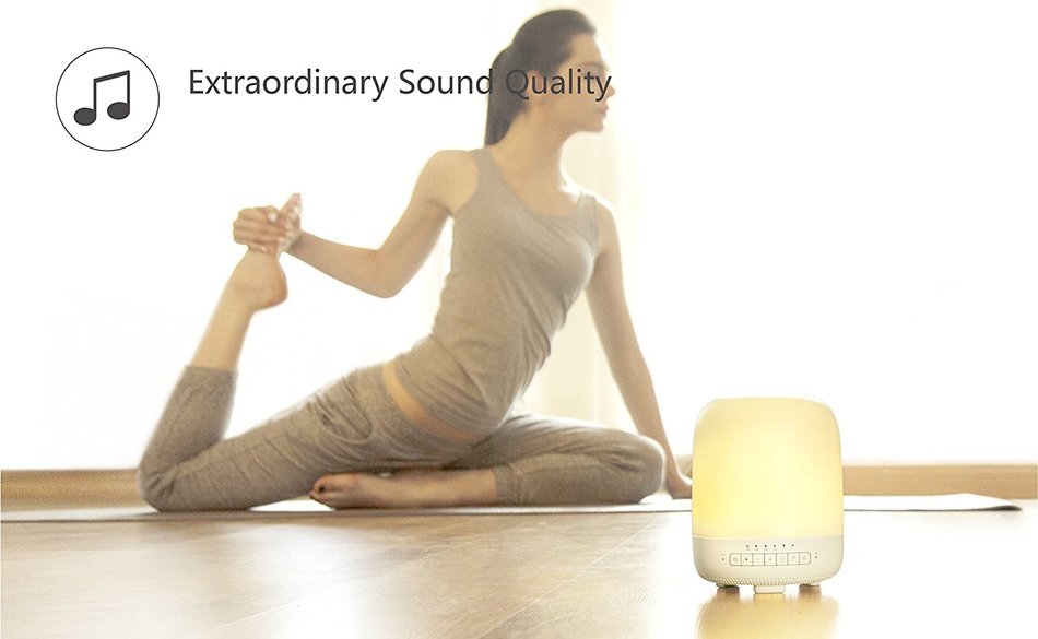 Emoi Portable Leaf Mini Bluetooth Speaker, Wireless 3W NdFeB 82DB Music Player, 360 Sound Quality w/ Passive Radiator... N19