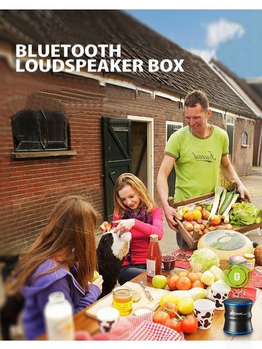 Bluetooth Speakers, GooDee B5 Mini Bluetooth Speaker 360 Degree Stereo Subwoofer Metal Speaker with NFC Function... N10