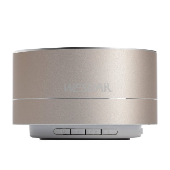 WESDAR Bluetooth Speakers with Lights For iPhone Android Bluetooth 4.0 - 5V 500mah Gray - Weight in 5.6oz, 114S-Gr N24