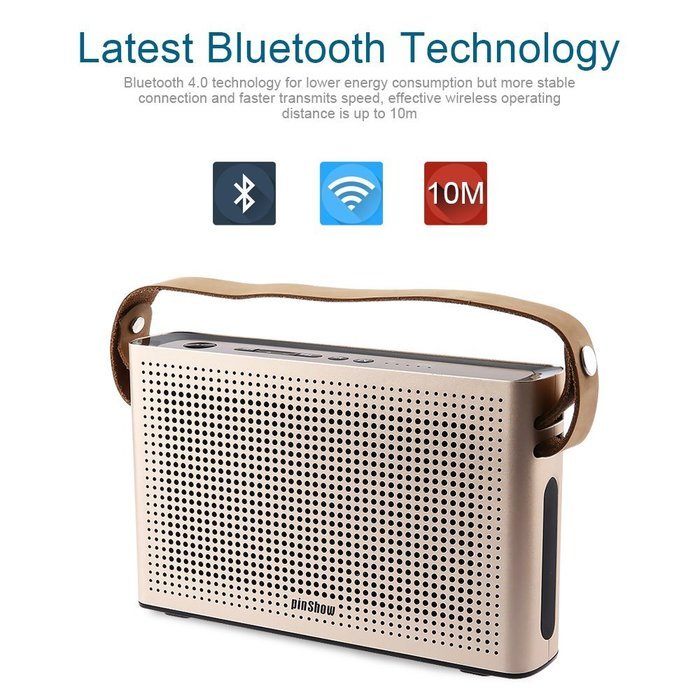 PINSHOW Ultra-portable Bluetooth 4.0 Speaker with Microphone and Aux Function, Hifi Speaker with 10W Enhanced... N2