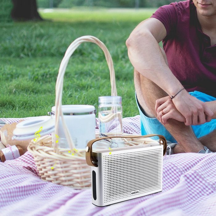 PINSHOW Ultra-portable Bluetooth 4.0 Speaker with Microphone and Aux Function, Hifi Speaker with 10W Enhanced... N6