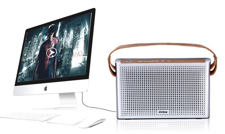 PINSHOW Ultra-portable Bluetooth 4.0 Speaker with Microphone and Aux Function, Hifi Speaker with 10W Enhanced... N16