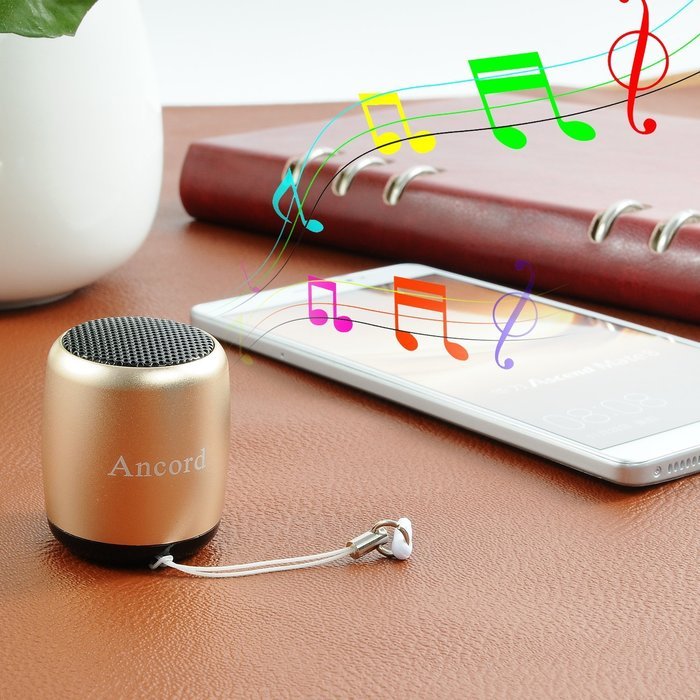 Small Bluetooth Speaker Portable by Ancord Small Body Loud Voice Shutter Button Selfie Features Gold N4