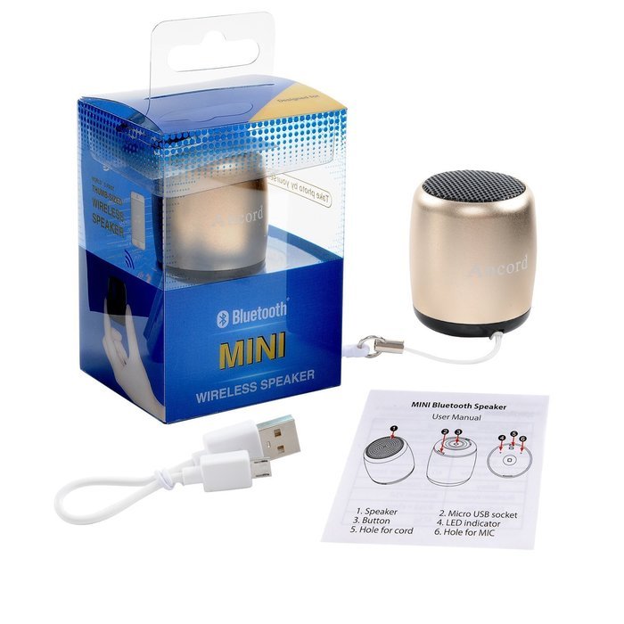 Small Bluetooth Speaker Portable by Ancord Small Body Loud Voice Shutter Button Selfie Features Gold N6