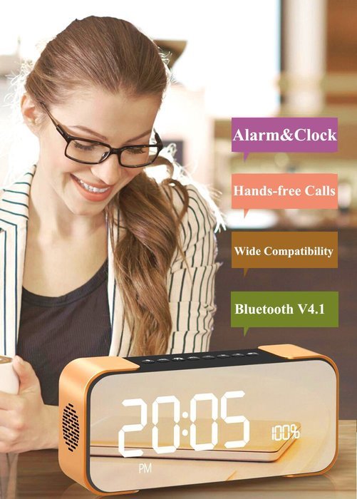 Bluetooth Speakers,Werleo Hi-Fi Portable Wireless Stereo Speaker with Alarm Clock,Build-in Mic,FM Radio,LED Light... N15