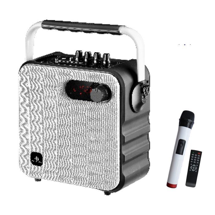 Audster AUD-T500W Portable Rechargeable 700W Speaker (White)