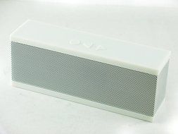 AXION SPK-2CE123 Portable Bluetooth Speaker (White) N2