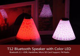 T12 Bluetooth Speaker with Color LED ??? Bluetooth 2.1 +EDR, Handsfree, Micro SD Card Support, FM Radio (White) N5