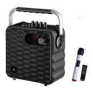 Audster AUD-T500K Portable Rechargeable 700W Speaker (Black)