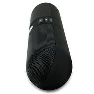 Pill Shape Portable Bluetooth Wireless Speaker with FM Radio, Micro SD, Line In. Built in Microphone, Rechargeable... N4