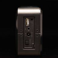 TDK Bluetooth Speaker (Japanese Version) N6