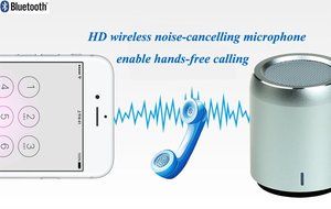 Luxon 3W Portable Wireless Bluetooth Speaker, Bluetooth V4.0 (Silver) N4