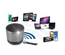 SD SoundWave SW100 Rechargable Portable Bluetooth Speaker N5