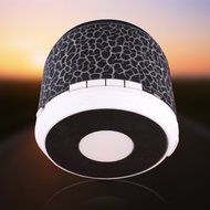 RShop Bluetooth Speaker, Portable / Mini Bluetooth Speaker, 3.5mm Stereo Plug Audio, Built-in lithium Battery,... N8