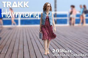 TRAKK Harmony New Model 20W 360 Degree Sound Durable Art Fabric Portable Bluetooth Speaker with Power Bank Immersive... N24