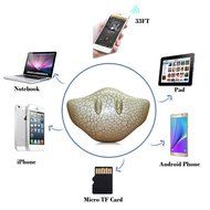 Tuohai Portable Devil Rays Smart Wireless Bluetooth Speaker with Dynamic LED Lights Support TF Card for iPhone... N9