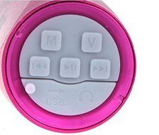 Portable Sports Music Sound Box Mini Bicycle Bike MP3 Player Speaker FM Radio Micro SD/TF Rose N4