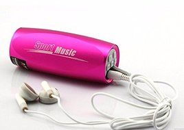 Portable Sports Music Sound Box Mini Bicycle Bike MP3 Player Speaker FM Radio Micro SD/TF Rose N6