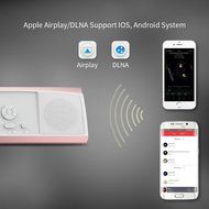 WiFi Speaker with App, Airplay/ DLNA connection,XREXS Wireless Bluetooth Stereo Speaker with Subwoofer Bass,Multi... N4