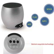 LarKoo Mini Bluetooth Wireless Speakers Portable Metal Cannon Stereo Subwoofer with TF Card Hand-free Call for... N6