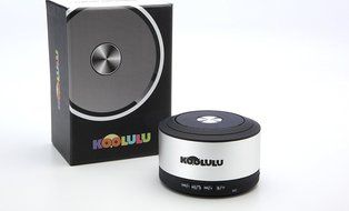 Bluetooth Travel Party Speaker , Silver