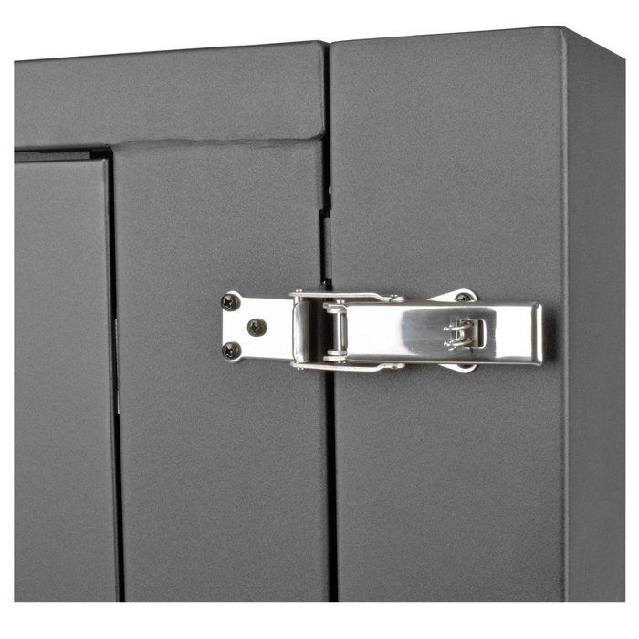 Tripp Lite 12U Wall Mount Rack Enclosure Server Cabinet, Hinged, 20.5" Deep, Switch-Depth (SRW12US) N23