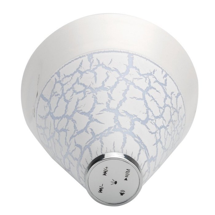 T12 Bluetooth Speaker with Color LED ??? Bluetooth 2.1 +EDR, Handsfree, Micro SD Card Support, FM Radio (White) N2
