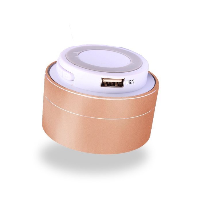 BSWHW Portable Bluetooth Speaker Wireless Outdoor/ Enhanced Bass Speaker Built in Mic, USB and TF card port /... N17