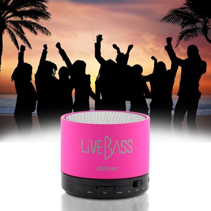 LiveBass Portable Wireless Bluetooth Speaker - High Quality Bass System - Home, Outdoor & Travel Use (Charcoal... N31