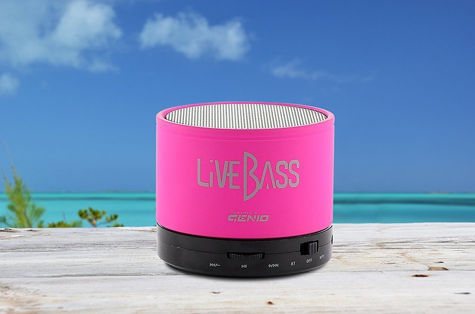 LiveBass Portable Wireless Bluetooth Speaker - High Quality Bass System - Home, Outdoor & Travel Use (Charcoal... N33