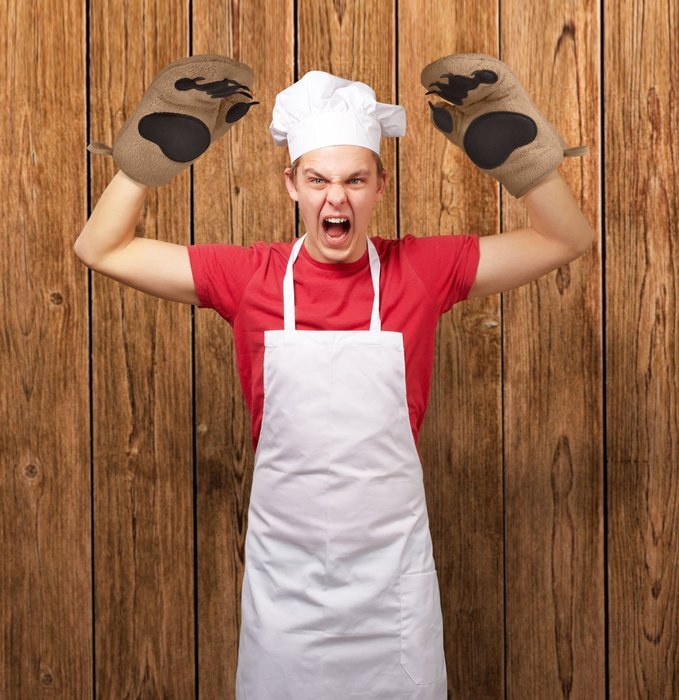 Fred & Friends BEAR HANDS Oven Mitts, Set of 2 N3