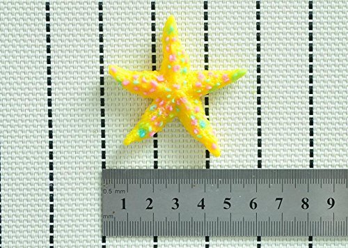 Martha Art Craft - Sugarcraft Decorating Kit High Quality Lovely Starfish Shower Party Fondant Molds Silicone... N3