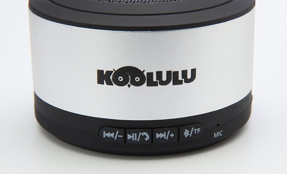 Bluetooth Travel Party Speaker , Silver N2