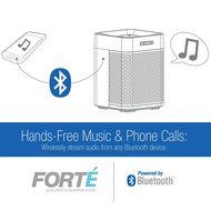 Mediabridge Forte Portable Bluetooth Speaker with Powered Rear-Firing Subwoofer - Wireless Speaker with Rechargeable... N6