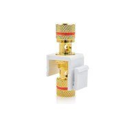 Cable Matters (5-Pack) Gold-Plated RG6 Keystone Jack Insert N43